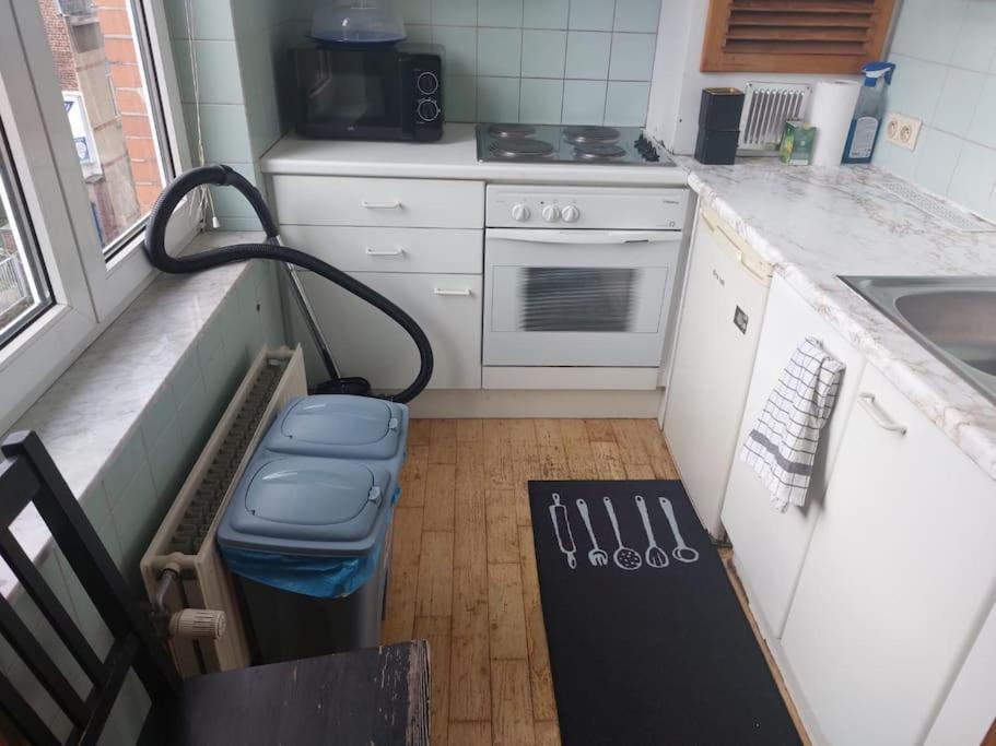 Charming 1-Bedroom Apartment Brüksel Dış mekan fotoğraf